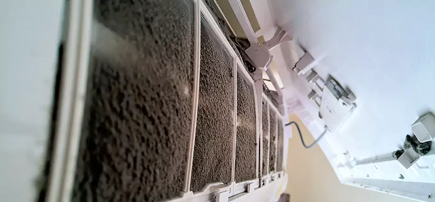 Preventive Air Duct Bacteria Removal in Alton