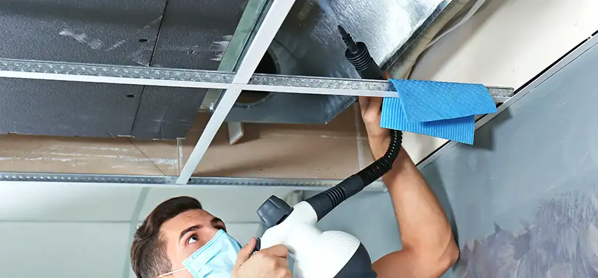 Our Air Duct Rodent Removal Services in Alton, IL