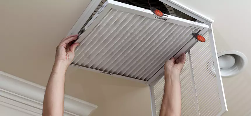 Our Insect Removal from Air Ducts Services in Alton, IL