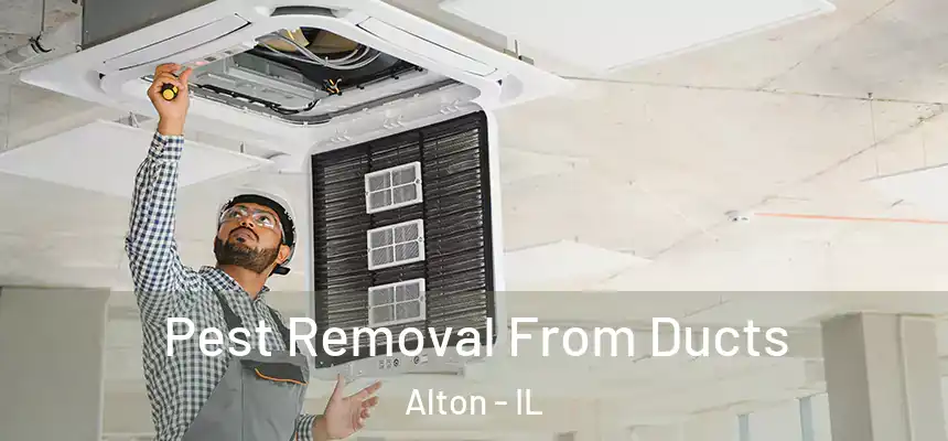  Pest Removal From Ducts Alton - IL