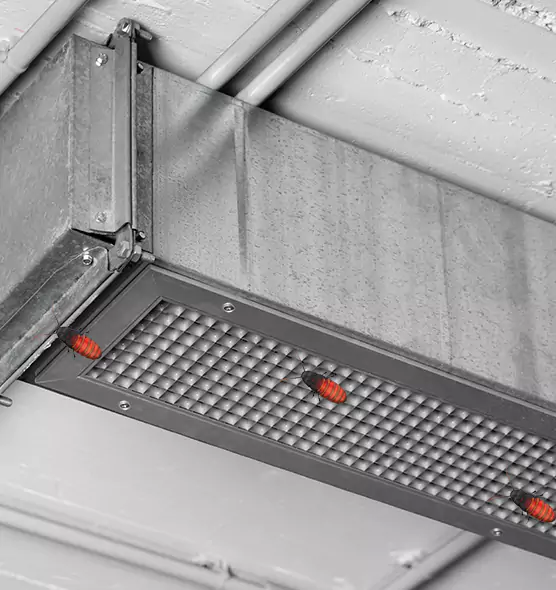 About Air Duct Cockroach Removal in Alton, IL