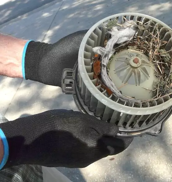 About Air Duct Rat Removal in Alton, IL