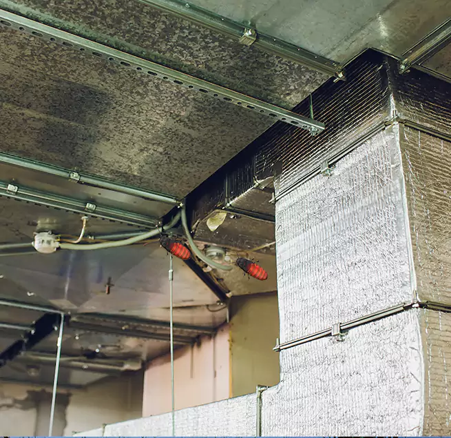 Why Homeowners & Businesses Trust Us in Alton, IL?