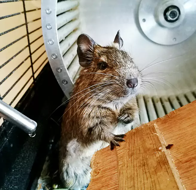 Why Homeowners & Businesses Trust Us Alton, IL