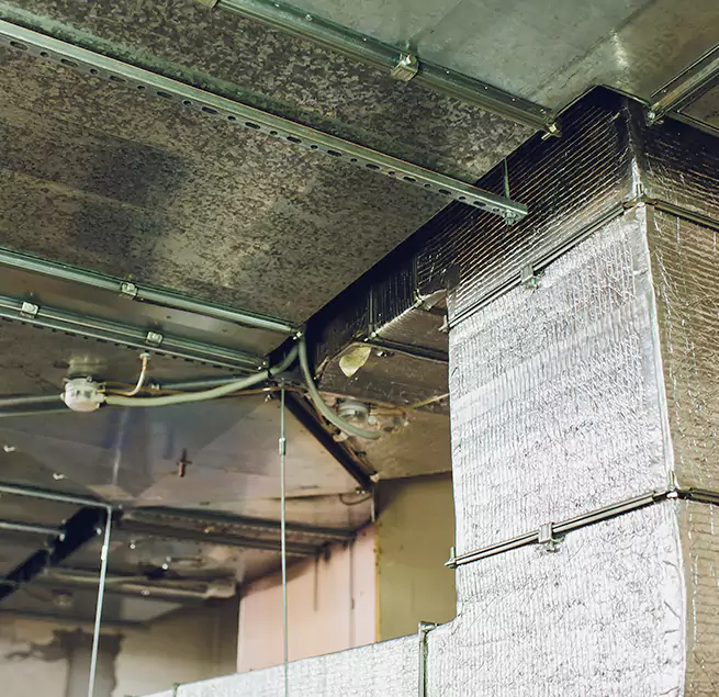 Why Homeowners & Businesses Trust Us in Alton, IL?